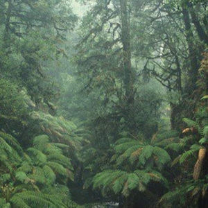 Meet your Posher, Tre